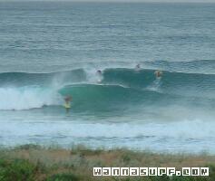 Mona Vale Beach