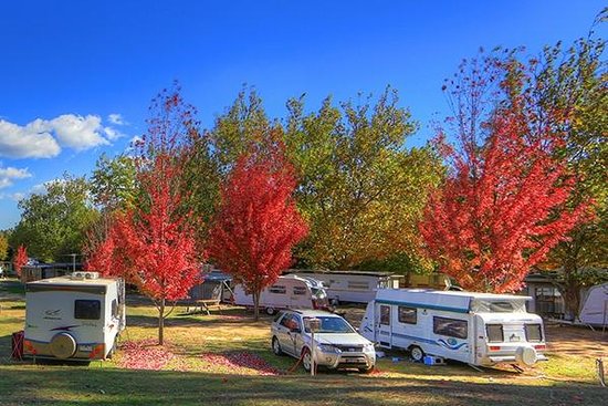 Beechworth Lake Sambell Caravan Park