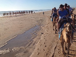 Zanders at Cable Beach