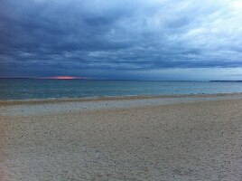 Carrum