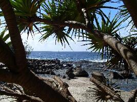 Coolangatta Australia Beach