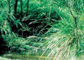 Daylesford Australia State Park
