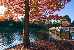 Emerald Park.