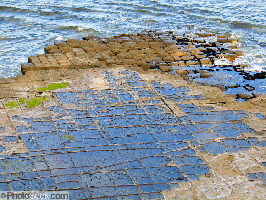 Tassellated pavement