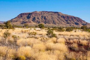 Mt Bruce
