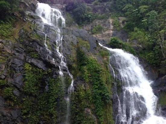 Stoney Creek Falls