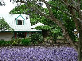Mallow Cottage