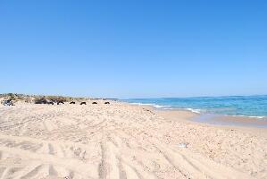 Preston Beach