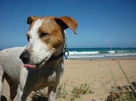 Marengo Beach Break