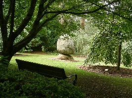 Mt Dandenong Australia Forest