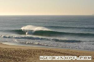 Merewether