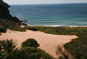 Barrenjoey Headland