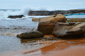 Whale Beach Reserve