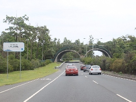 Rochedale Australia Forest