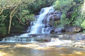 Gosford