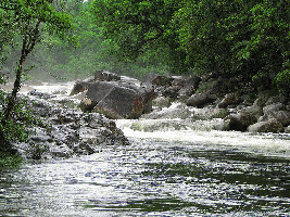 Syndicate Australia Gorge