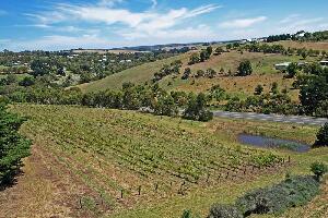 Bellbrae Estate