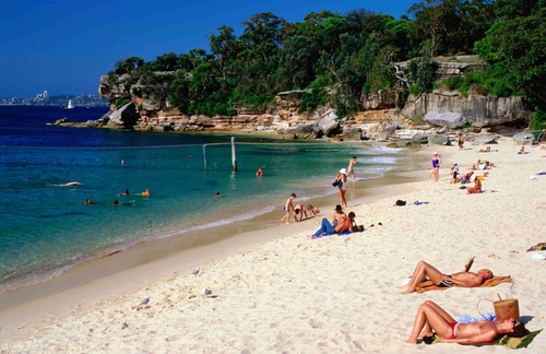 Shark Beach
