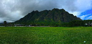 Pure Aloha Adventures