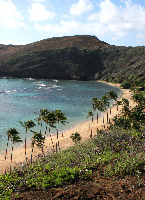 Hanauma Bay Tours
