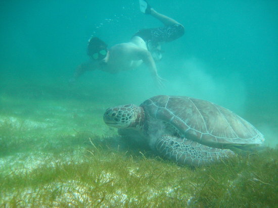 Edventure Tours