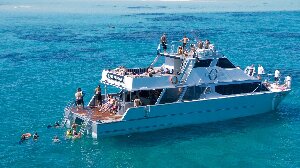 Ocean Free and Ocean Freedom
