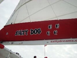 Salty Dog Catamaran