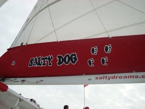 Salty Dog Catamaran