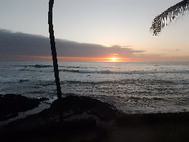 Kona Style