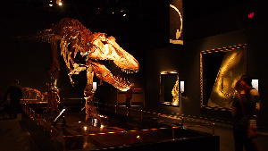 Drumheller Canada Museum
