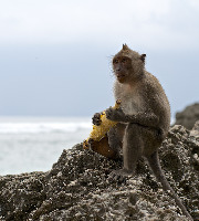 Bali Indonesia Beach
