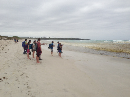 Galapagos Beach  at Tortuga Bay