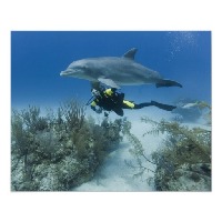 Grand Bahama Scuba