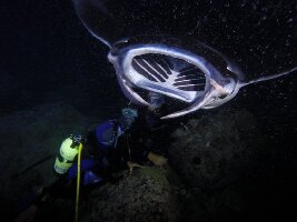 Kealakekua United States Spa