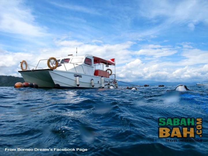 Borneo Dream Travel and Tours