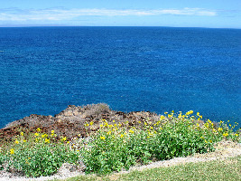 Manele Golf  Course