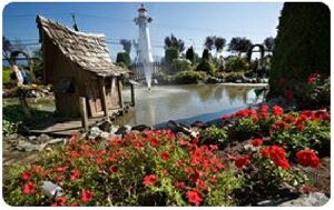 Castle Fun Park