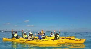 Auckland Sea Kayaks
