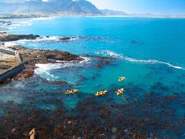 Hermanus South Africa Walk