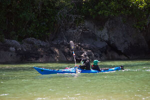 Golden Bay Kayaks