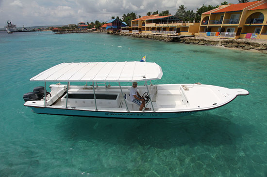 Glass Bottom Boat and Kayak Snorkel  Tours