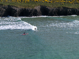 Surf 's Up Surf  School
