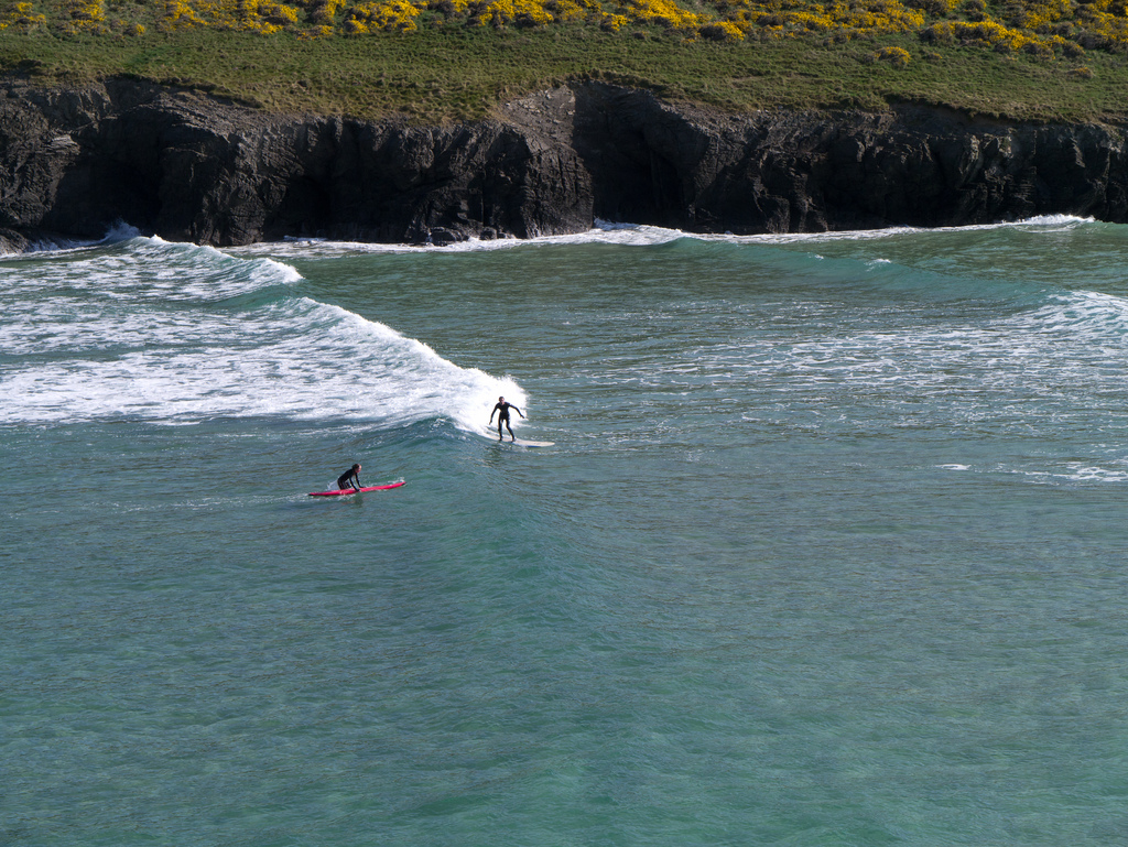 Surf 's Up Surf  School