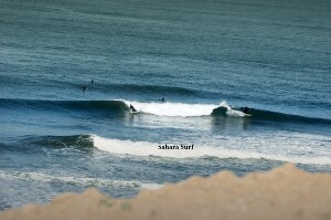 Sahara Surf