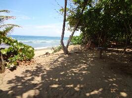 PauHana Surf  School