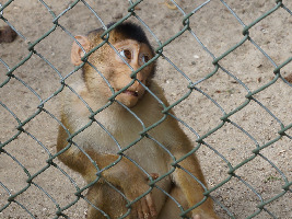 Odense Denmark Zoo