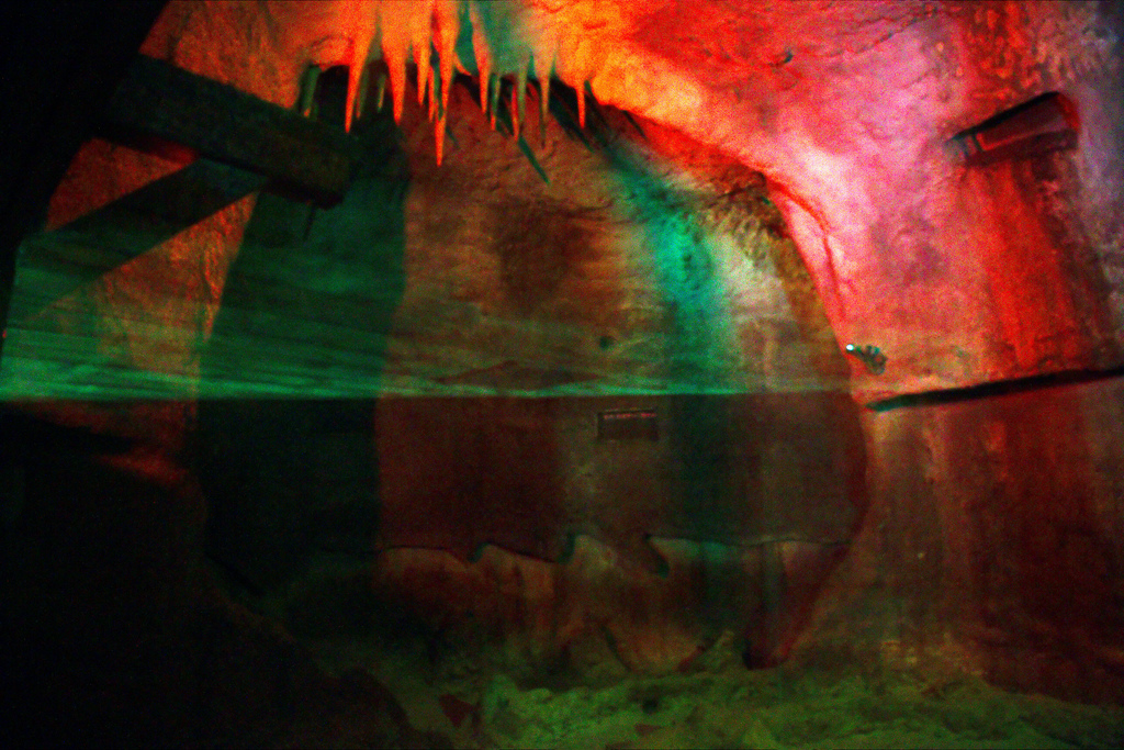 Rotterdam Zoo