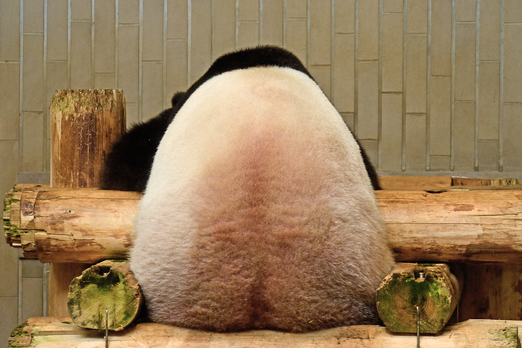 Ueno Zoo