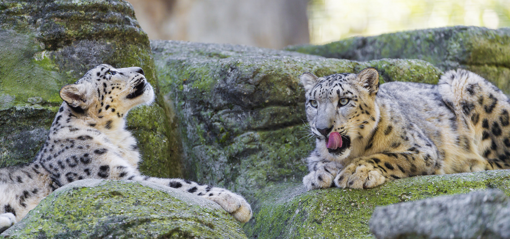 Zoo  Basel