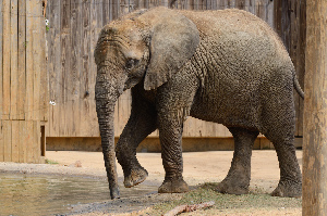 Montgomery United States Zoo